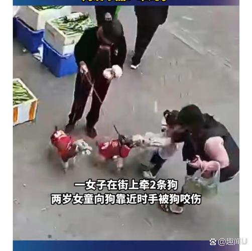 新闻中心 第8页