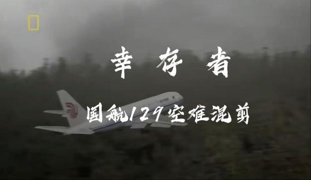 二四六香港资料期期准中特和韩国发生飞机坠毁与韩国发生飞机坠毁事件