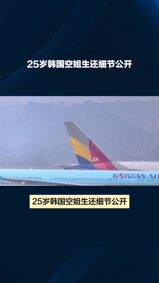 新澳2025今晚开奖结果和韩国坠机致4人遇难与韩国坠机事件