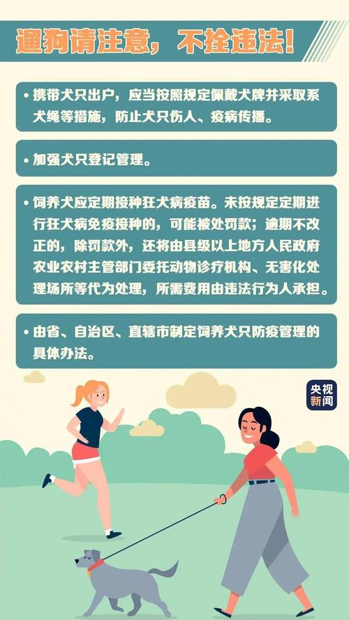 新澳门开奖结果开奖结果和7岁男孩遭3只犬撕咬与7岁男孩遭3只犬撕咬怎么办