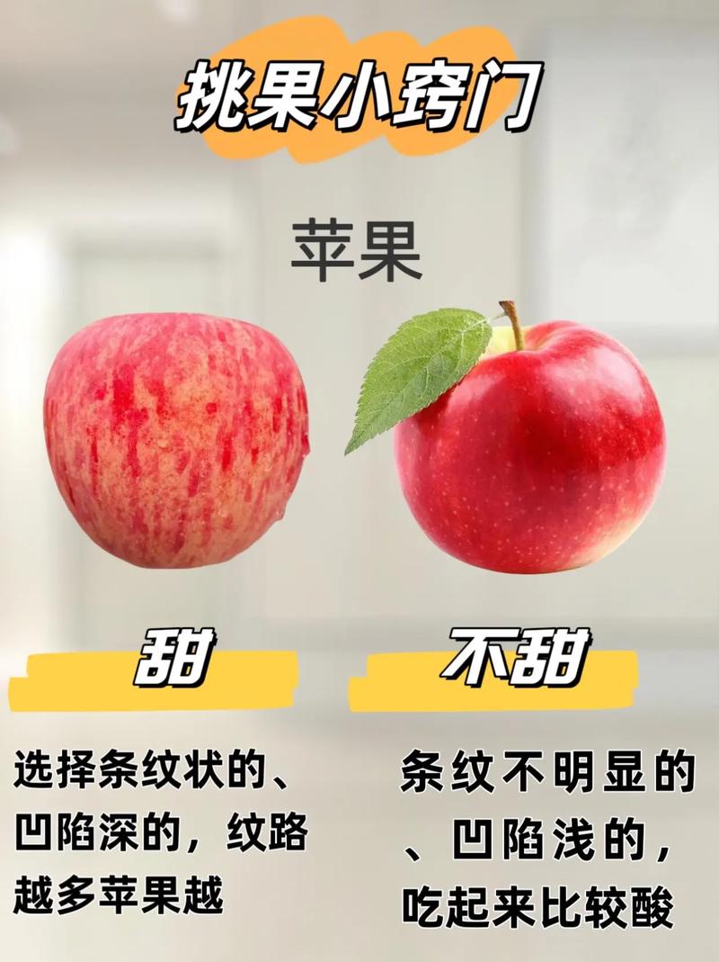 2025新奥资料正版大全和这几种水果买就后悔与买哪些水果