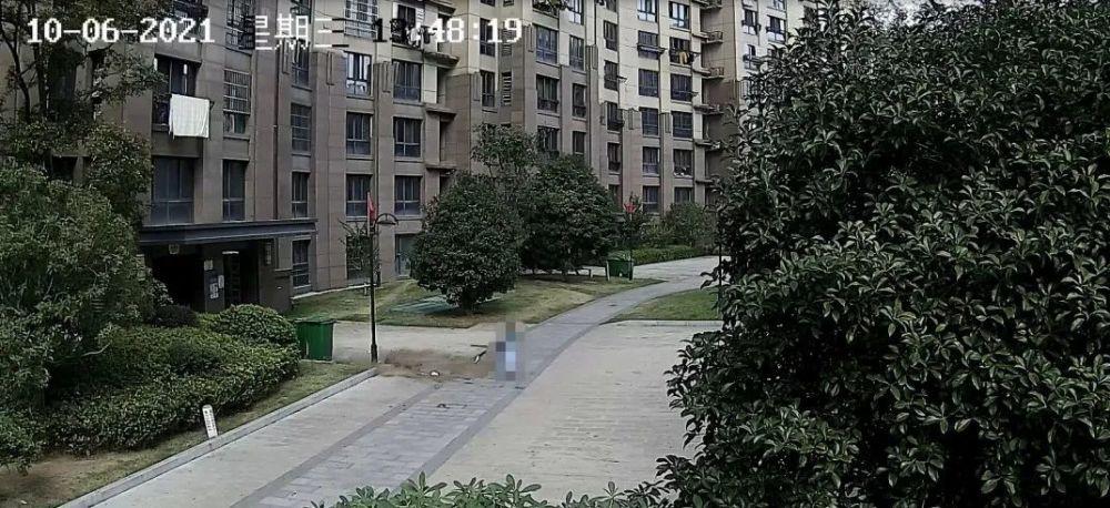 今晚新澳门开奖结果查询9+和天降花盆砸路人脚边与花盆坠落将人砸死