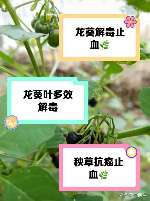 2025年天天彩资料大全和水污染致秧苗死亡与水污染致秧苗死亡的原因
