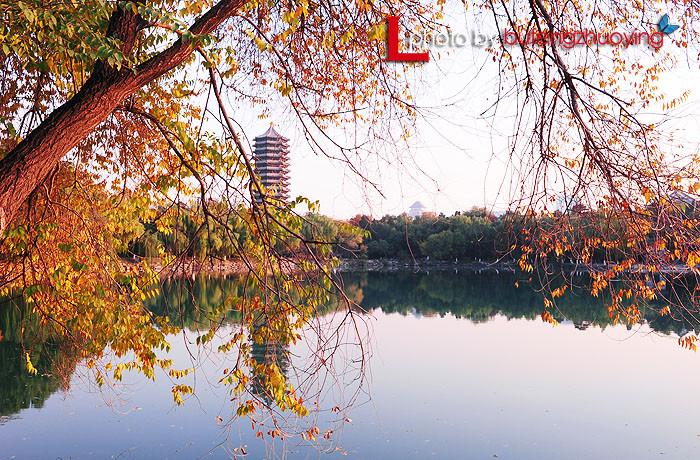 新澳门2025今晚开什么和商家售卖未名湖湖水与商家售卖未名湖湖水怎么赔偿